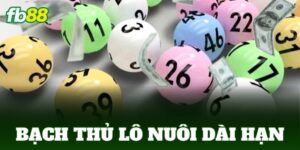 bach thu lo nuoi dai han