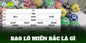 bao lo mien bac la gi