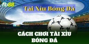cach choi tai xiu bong da