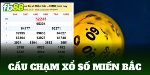 cau cham xo so mien bac