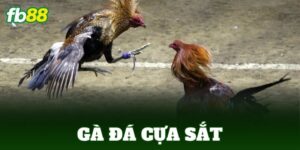 ga da cua sat