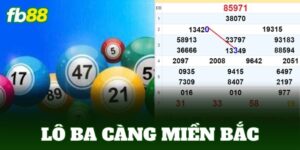 lo ba cang mien bac