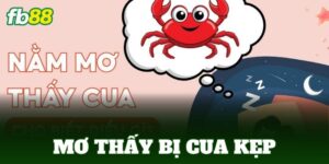 mo thay bi cua kep