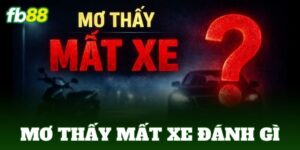 mo thay mat xe danh gi