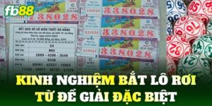 kinh nghiem bat lo roi tu de giai dac biet