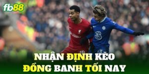 nhan dinh keo dong banh toi nay