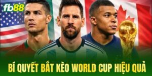 bi quyet bat keo world cup hieu qua