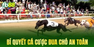 bi quyet ca cuoc dua cho an toan