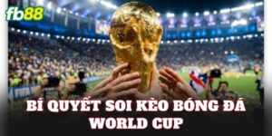 Bí Quyết Soi Kèo Bóng Đá World Cup