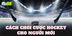 Cách Chơi Cược Hockey Cho Người Mới