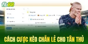 cach cuoc keo chan le cho tan thu