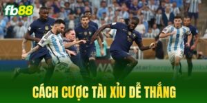 cach cuoc tai xiu de thang