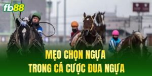 cach danh keo the phat de thang 1