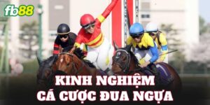 Kinh Nghiệm Cá Cược Đua Ngự