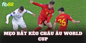 Mẹo Bắt Kèo Châu Âu World Cup