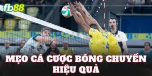 Mẹo Cá Cược Bóng Chuyền Hiệu Quả