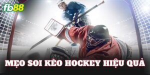 Mẹo Soi Kèo Hockey Hiệu Quả
