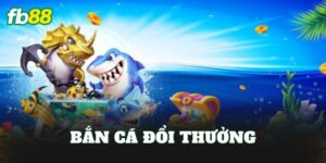 Bắn Cá Đổi Thưởng
